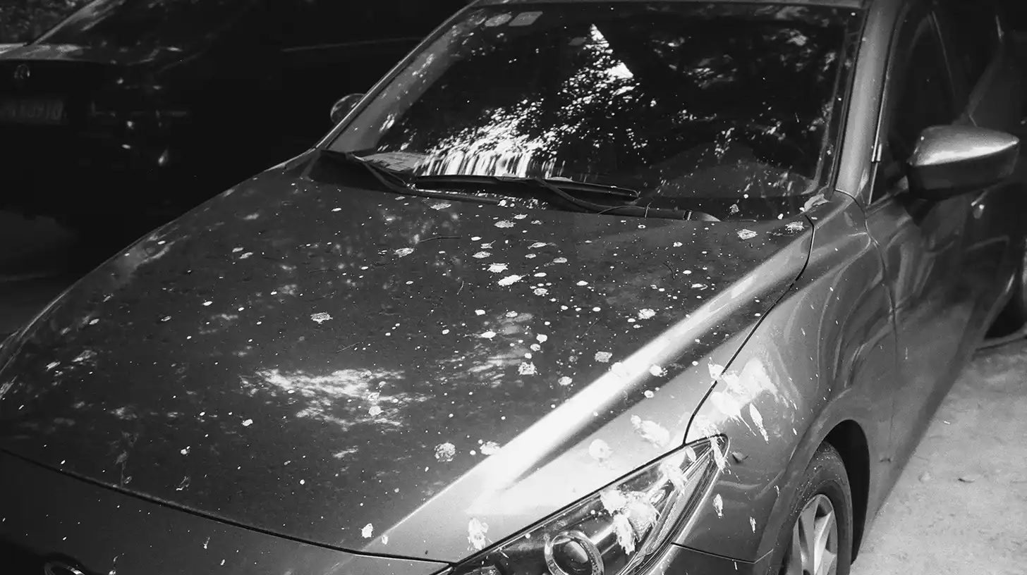 Car with serious hail damage