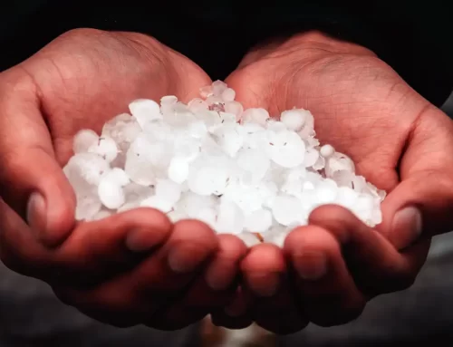 Defend Your Ride: Greatly Minimize Hail Damage with PPF