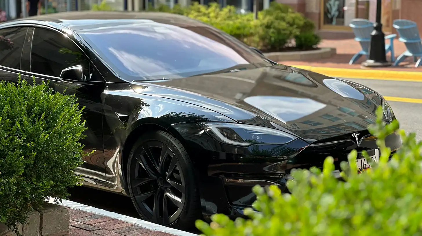 Black Tesla behind bushes