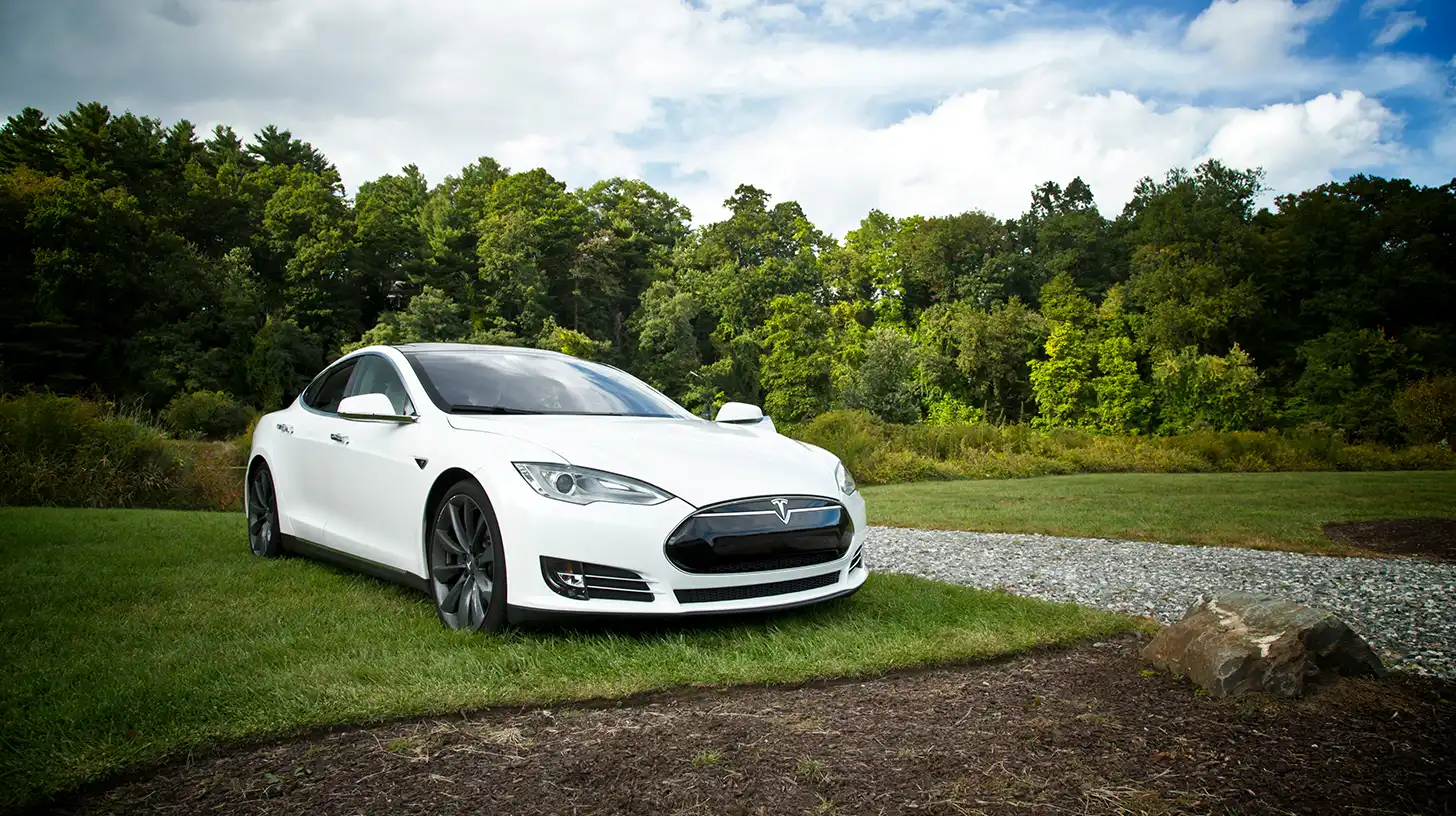 White Tesla on Grass