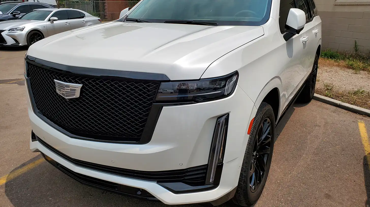 White Cadillac Escalade - Paint Correction and Detail